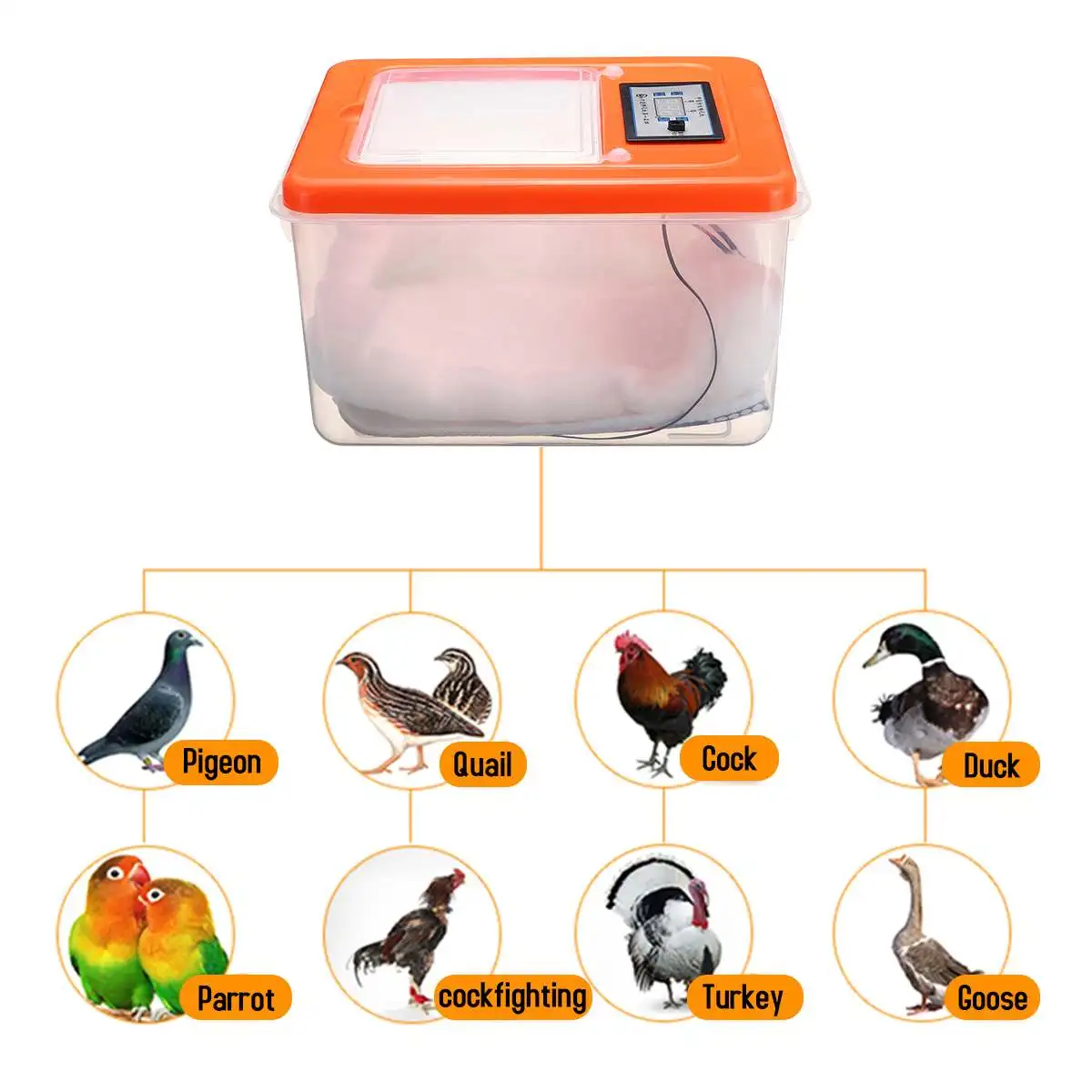 40pcs Egg Incubator Digital Automatic Cock Poultry Hatcher Temperature Control Good Insulation Performance Foam + Plactic 40pcs Egg Incubator Digital Automatic Cock Poultry Hatcher Temperature Control Good Insulation Performance Foam + Plactic