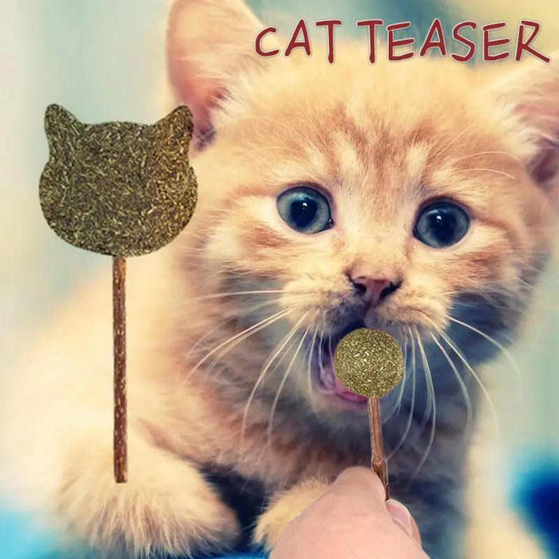

Cat Toy Wood Scorpio Funny Cat Stick Cat Mint Lollipop Snacks Variety Customized Kitten Snacks Pet Toys Teeth Clean Interaction