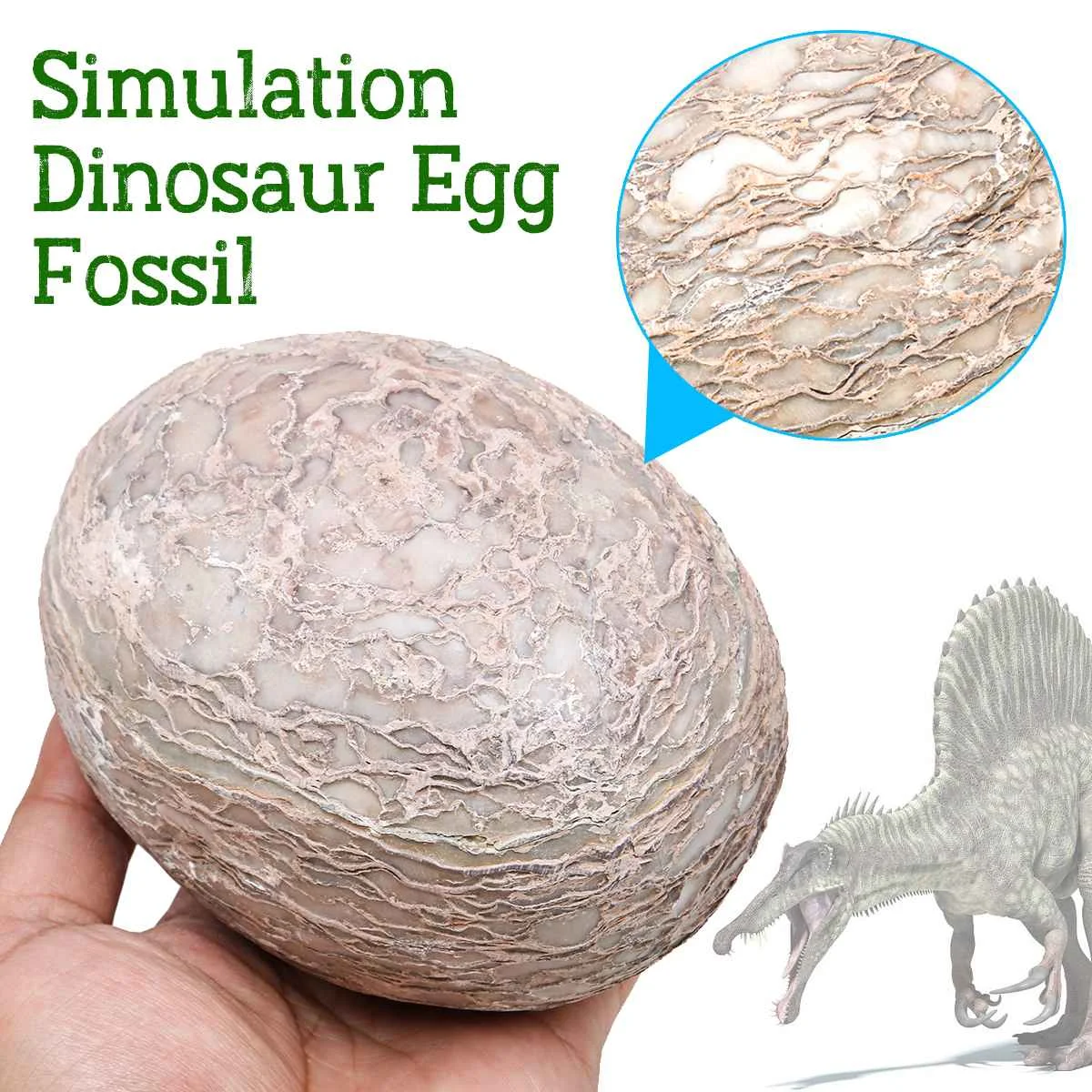 

Dinosaur Egg Fossil Simulation Specimen Teaching Model Room Decoration Segnosaur Egg Fossilized Geography Teaching Model