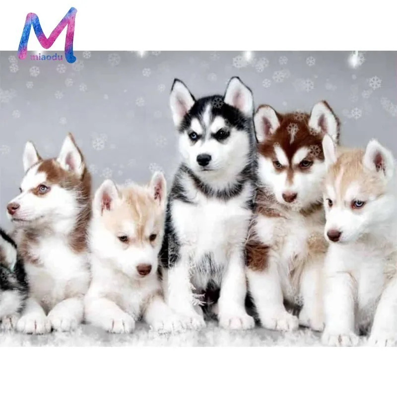 

Full Square DIY 5D Diamond Painting Husky Dog Full Square Diamond Mosaic Animal Diamond Embroidery Cross Stitch Decoration Gift