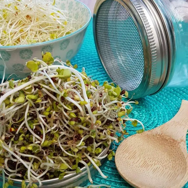 

10 Pack Stainless Steel Sprouting Lids Curved Mesh Jar Sprouting Lid Kit For Wide Mouth Mason Jars Canning Jars For Making Org