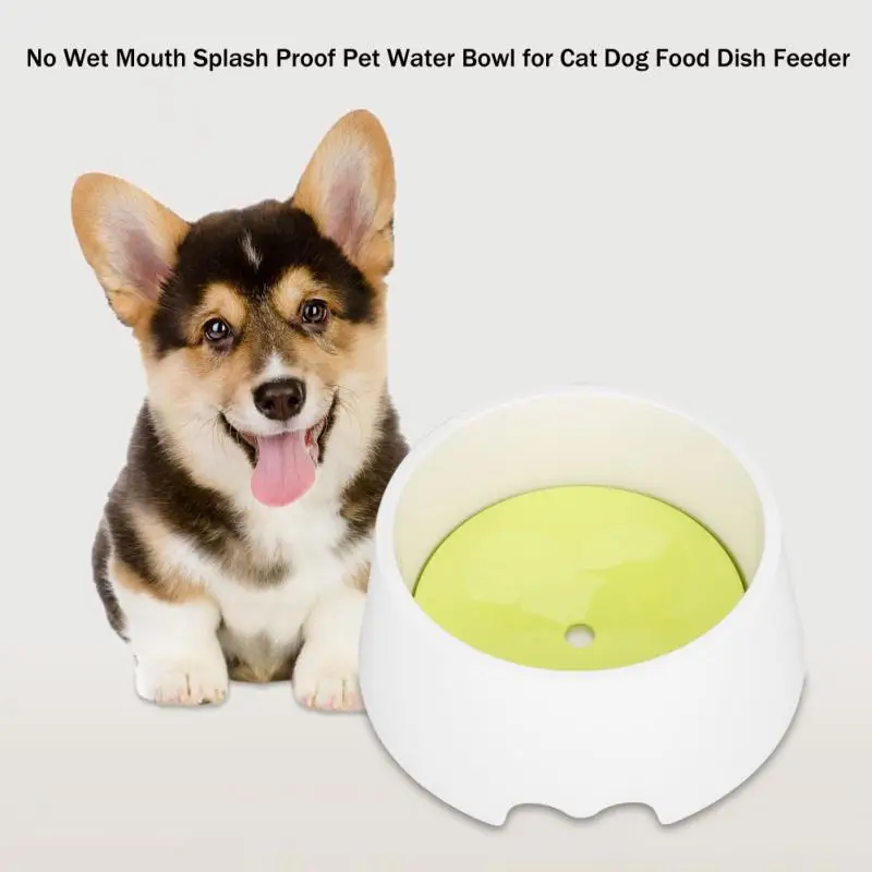 dog proof water bowl