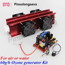 Pinuslongaeva 60 Гц/ч 60 г Регулируемая кварцевая трубка тип генератора озона комплект медицинская канализация бассейн стерилизация воды