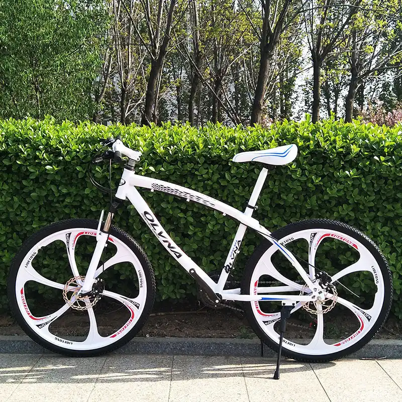 bmw mountain bike