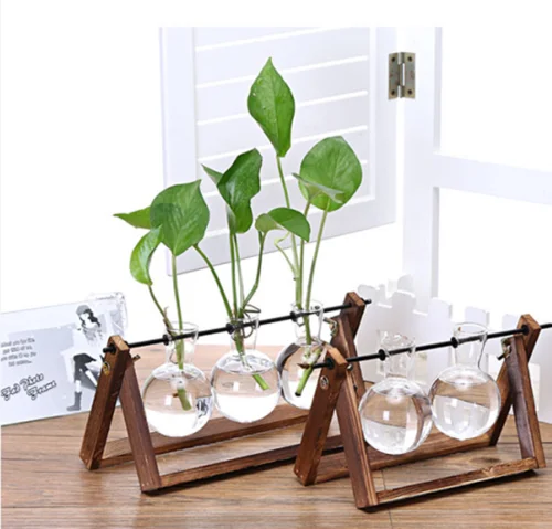 

Glass Vases Tabletop Wooden Stand Vintage Home Decor Planter Pot Terrarium