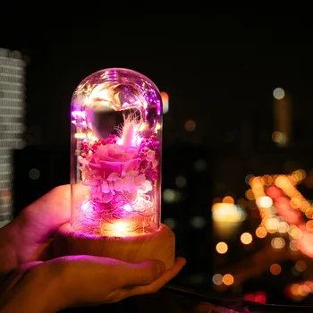 

A Wish Streamer Bottle Bluetooth Audio Desk Lamp Eternal Life Flower Usb Charge Bedside Small Night-light Meteor Garden Gift
