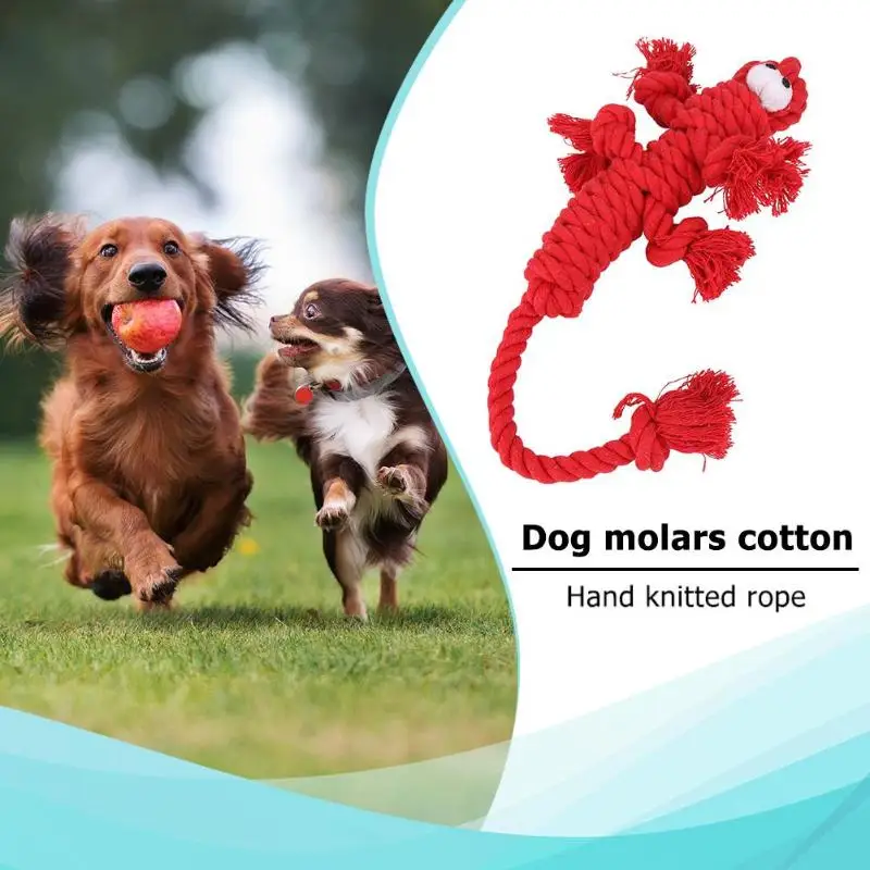 

Pet Dog Puppy Cotton Rope Toys Durable Braided Knot Rope Chew Bite Molar Toy Pet Supplies Chew Bite Molar Toy