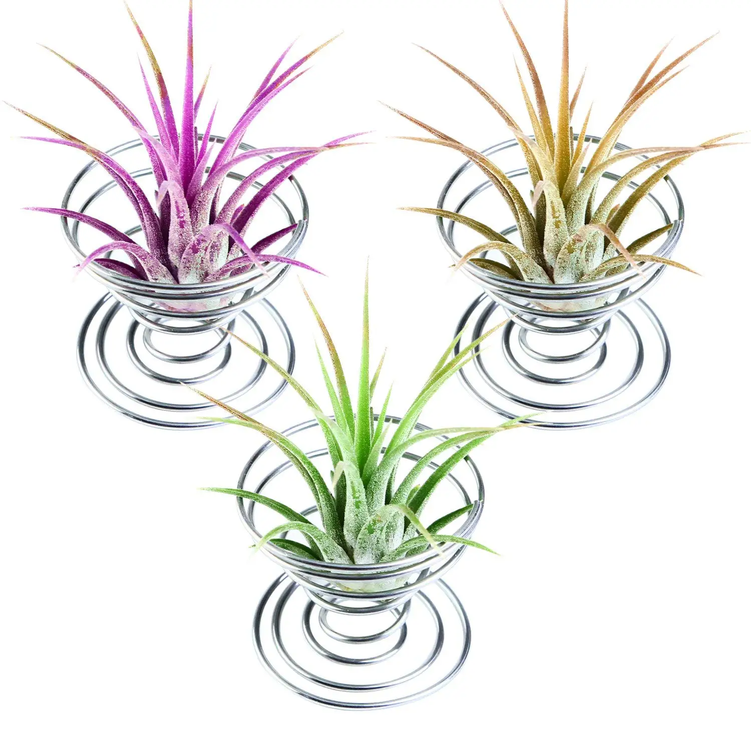 12 Pieces Air Plant Holder Air Plant Tabletop Container Stainless Steel Wire Stand Plant Display