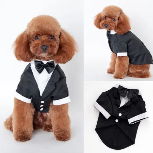 

Pet Dog Puppy Wedding Tuxedo Apparel Clothes Suit Bow Tie Stylish Shirt Coat