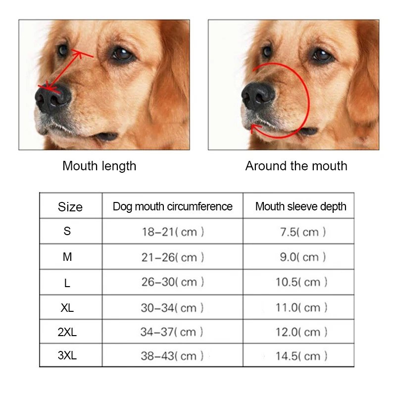 Как выбрать намордник для собаки по размеру. Измерение собаки. Обхват морды собаки. Как замерить размер намордника для собаки. Шлейка xl для собак размер таблица.