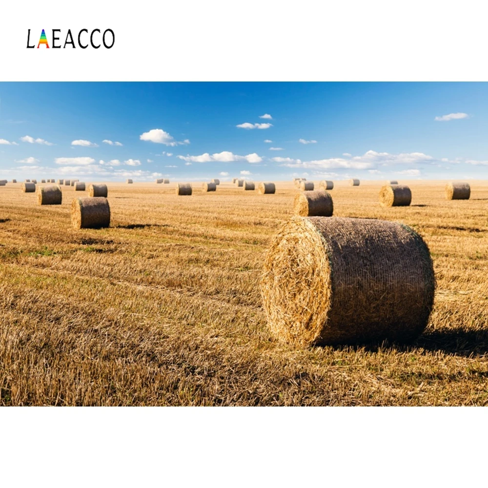 

Laeacco Rural Farm Harvest Haybales Blue Sky Photography Backgrounds Customized Photographic Backdrops For Photo Studio