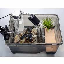Transparent Aquarium Tank