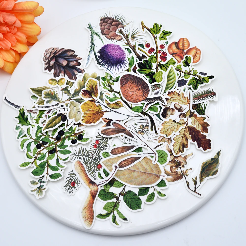 

29pcs Hand Drawing Pine cone Plant sticker Creative cute self-made sticker scrapbooking stickers /decorative DIY