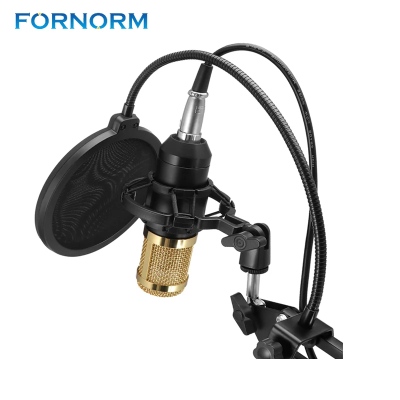 

FORNORM Professional Condenser Microphone Studio Sound Record Home Studio Dual-channel ultra-high-quality