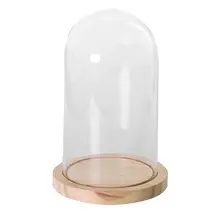Прозрачный стеклянный колокольчик, стеклянные банки на присоске с деревянным полом для цветов, растений, подарок L