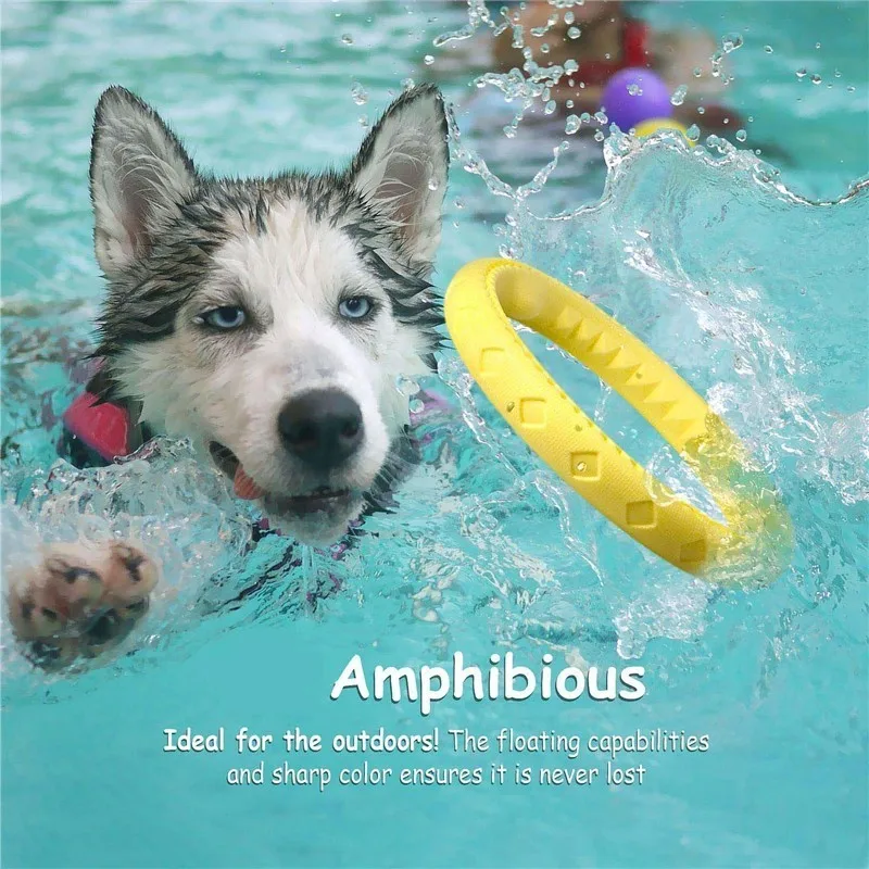 لينة دائم المطاط حلقة مضغ عض مطاردة التدريب الحيوانات الأليفة تحلق أقراص لعبة للشركات الصغيرة والمتوسطة الكلب جرو لينة دائم المطاط حلقة مضغ عض مطاردة التدريب الحيوانات الأليفة تحلق أقراص لعبة للشركات الصغيرة والمتوسطة الكلب جرو