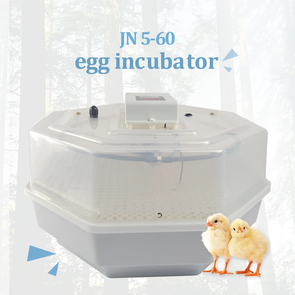 

Energy saving and multifuncation incubator holding 60 eggs family type high quality more than 95% hatching rate