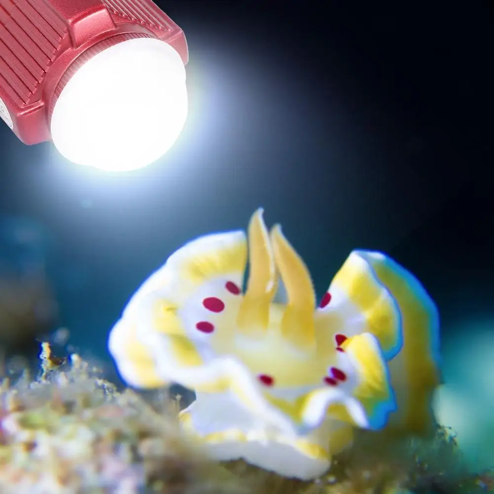 

Camera Flash Light LED Lamp Waterproof Underwater 60m 2000LM Beam Light