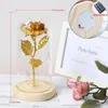6 Colour Beauty And The Beast Red Rose In A Glass Dome On A Wooden Base For Valentine's Gifts LED Rose Lamps Christmas 5