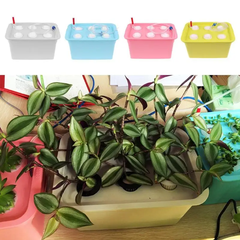 6 Holes Plant Site Hydroponic System Soilless Cultivation Seedling Grow Kit