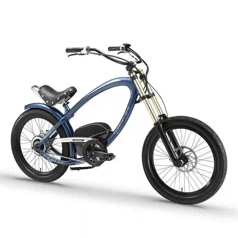 

Daibot Electric Bike 36V Two Wheels Electric Scooters 24 Inch 250W Beach Snow Bike Range 80KM Smart Electric Bicycle