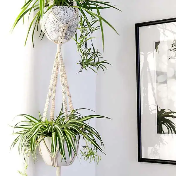 Macrame Plant Hangers 4 Pack In Different Designs Handmade Indoor Wall Hanging Planter Holder Modern Boho Home Decoration|Подвесные