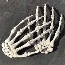 Human Anatomical bone Skeleton Model Medical Medical Learn Aid Anatomy art sketch 1 Pair Skull Skeleton Hand Bone Halloween Human Anatomical bone Skeleton Model Medical Medical Learn Aid Anatomy art sketch 1 Pair Skull Skeleton Hand Bone Halloween