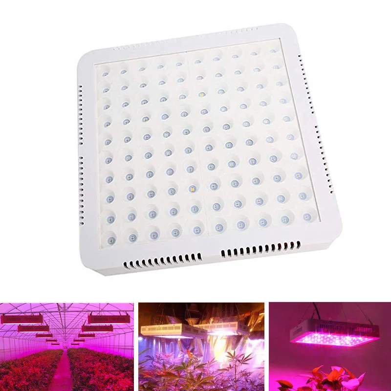 

2000W Led Grow Light Kits Full Spectrum Ir For Flower Plant Medical Led Grow Light Hydroponics Growing System Us Plug