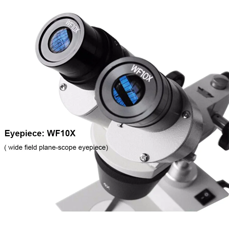 20X 30X 40X Stereo Microscope with WF10X Eyepiece Top Halogen Lamp Lighting Illumination Binocular Head Optical Glass Lens