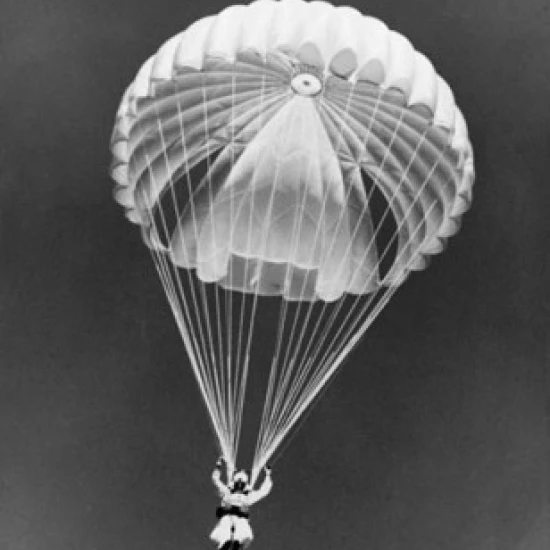 Low angle view of a smoke jumper parachuting to battle forest fire Poster Print (24 x 36) | Дом и сад