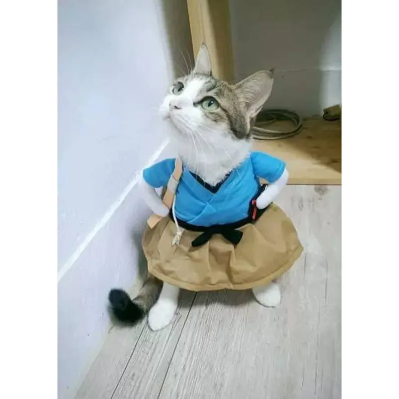 Забавный костюм кошки, униформа, костюм кошки, одежда, костюм одежда для щенков, нарядный костюм, праздничная одежда для кошки, одежда для костюмированной вечеринки