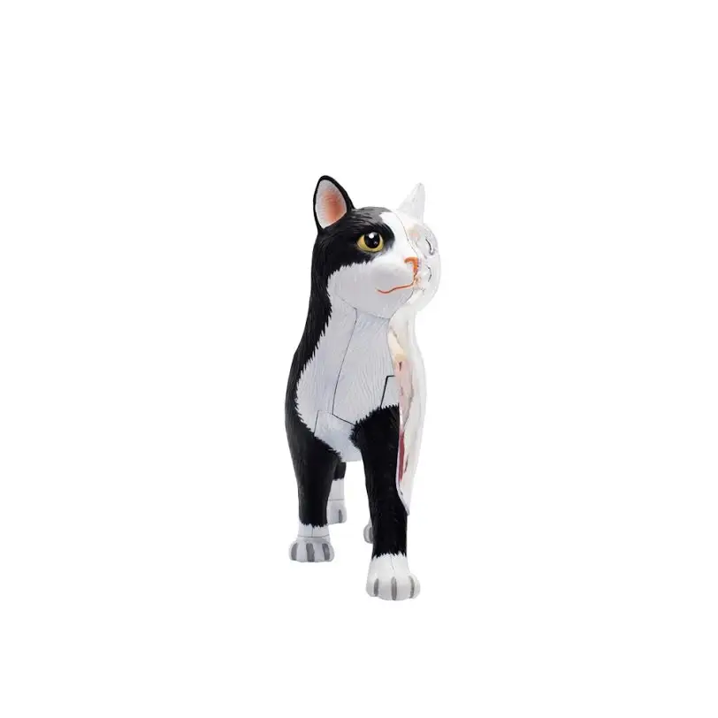  Black and white cat 4d puzzle Assembling toy Animal Biology organ anatomical model medical teaching - 33003202876