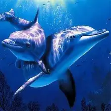 DIY Digital Oil Painting By Numbers Digital Paint Drawing Coloring Dolphin Canvas Hand Painted Picture Wall Decoration Wall Art digital art