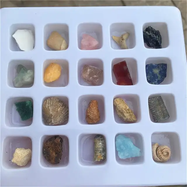 Best Price Ore Fossil Set Ornament Natural Stone Craft Crystal Gemstone Polished Healing Natural Crystal Gemstone Best Price Ore Fossil Set Ornament Natural Stone Craft Crystal Gemstone Polished Healing Natural Crystal Gemstone