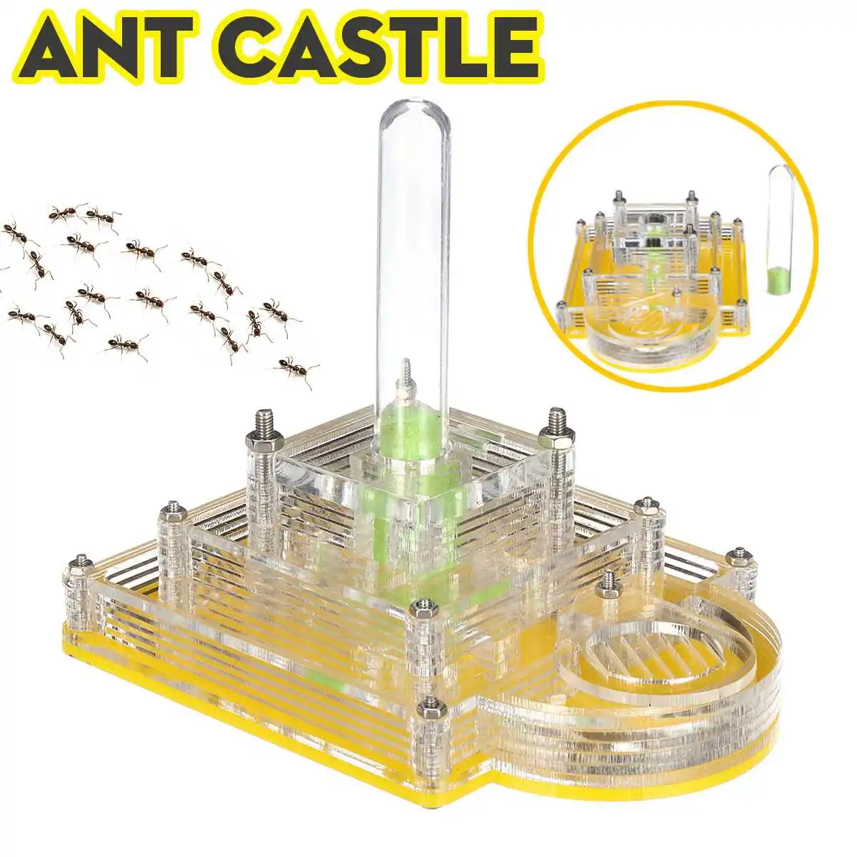 

1Pcs Ant Feeding Case Pyramid Ant Feeding Box Nest Acrylic Ant Nest 10.5cmx8cm