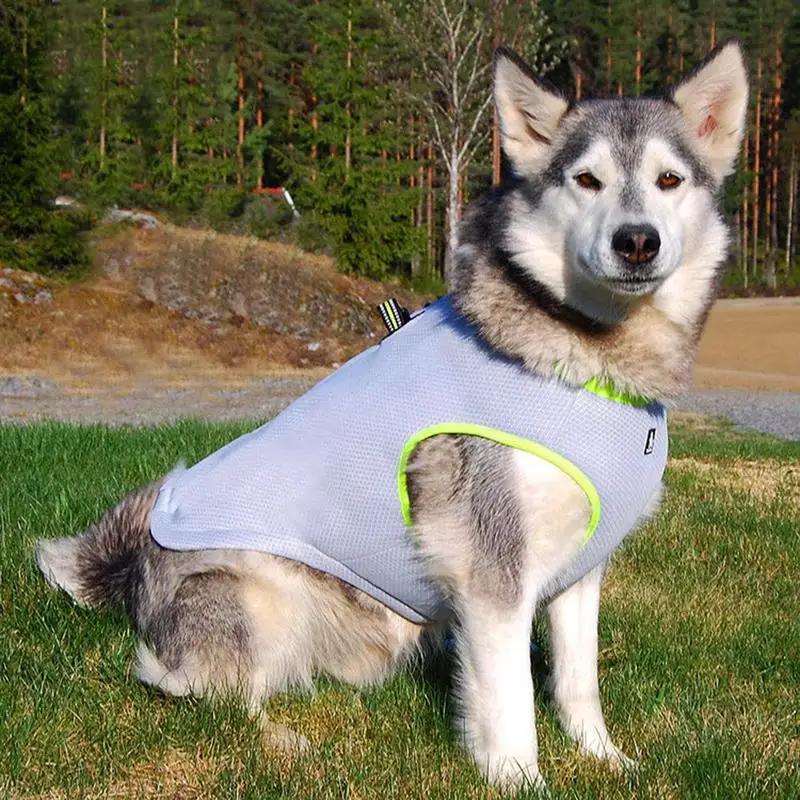 

Pet Cooling Vest Summer Breathable Harness Cooler Jacket Casual Vests For Large And Medium Dogs