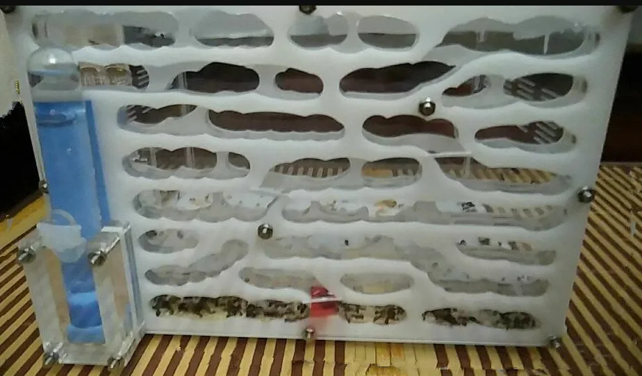 Большая двойная водная башня акриловое Муравьиное гнездо для детей научное исследование DIY установка клетки насекомых муравей домашнее животное муравей ферма