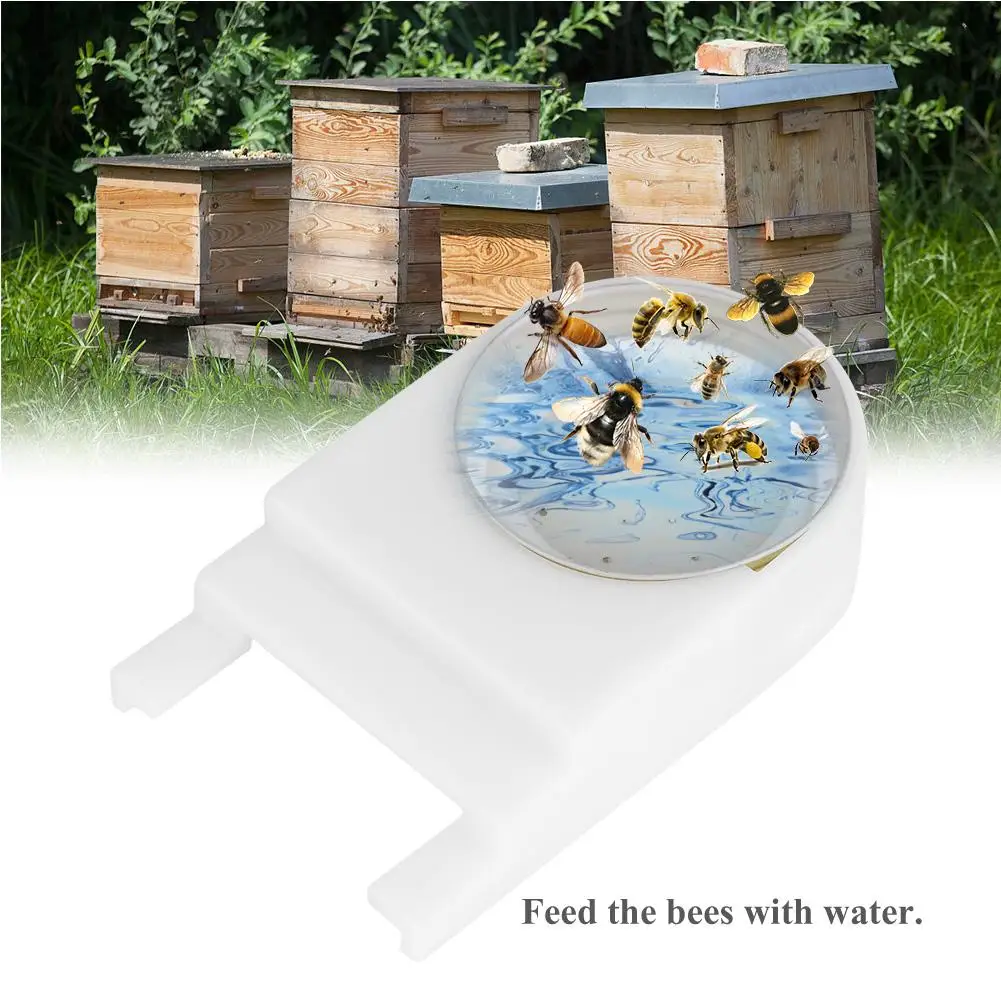 

Plastic White Beekeeper Beekeeping Feeder Rapid Bee Drinking Water Feeder Bee Keeping Equipment Tool With Clean Cup