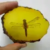 Collection Chinese Beautiful Amber Dragonfly Fossil Insects Manual Polishing Exquisite Gift ► Photo 2/3