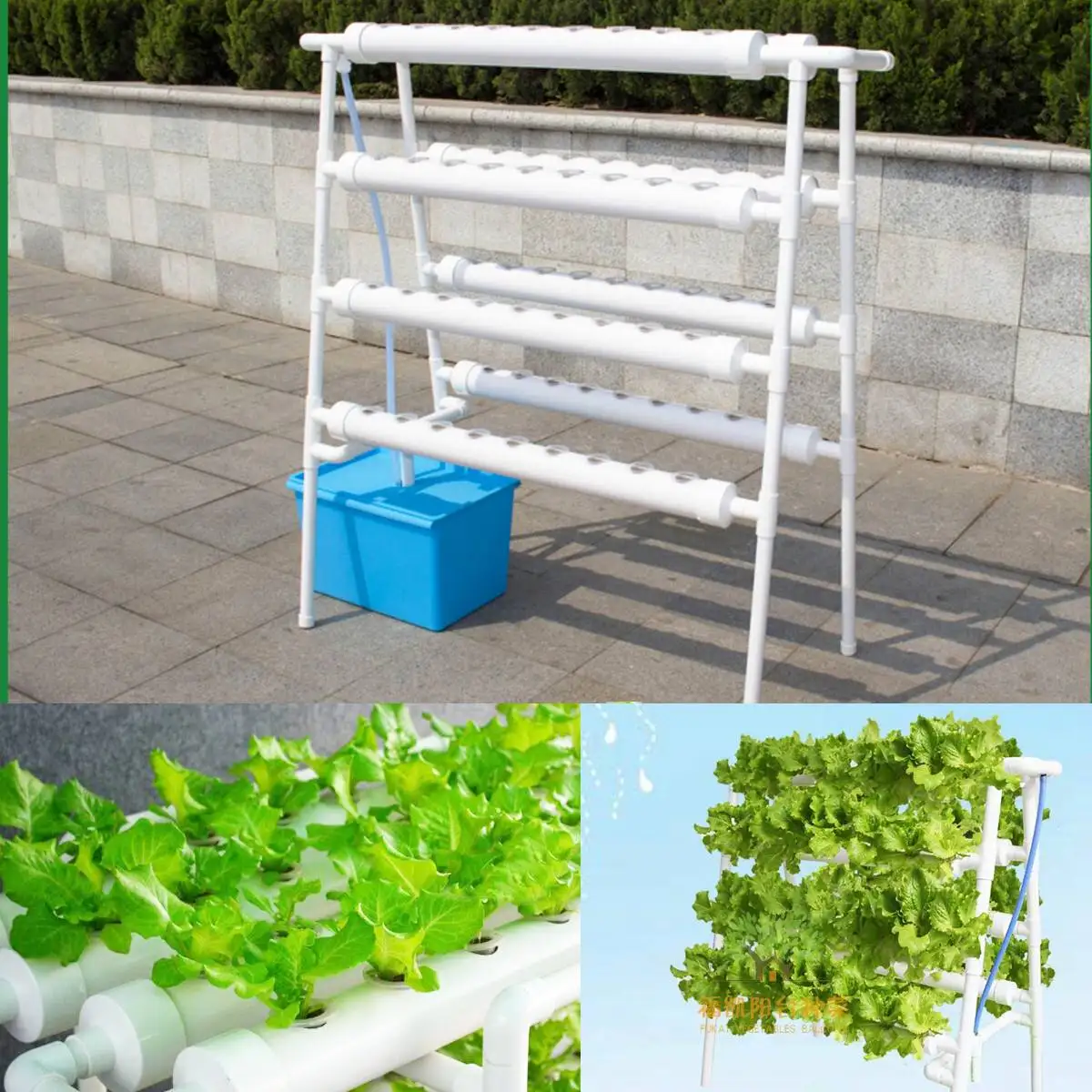 72 Holes Hydroponic System Indoor Garden Plant Grow Kit Nursery Pot Vegetable Water Planting Soilless Seedling Flower Stand 220V