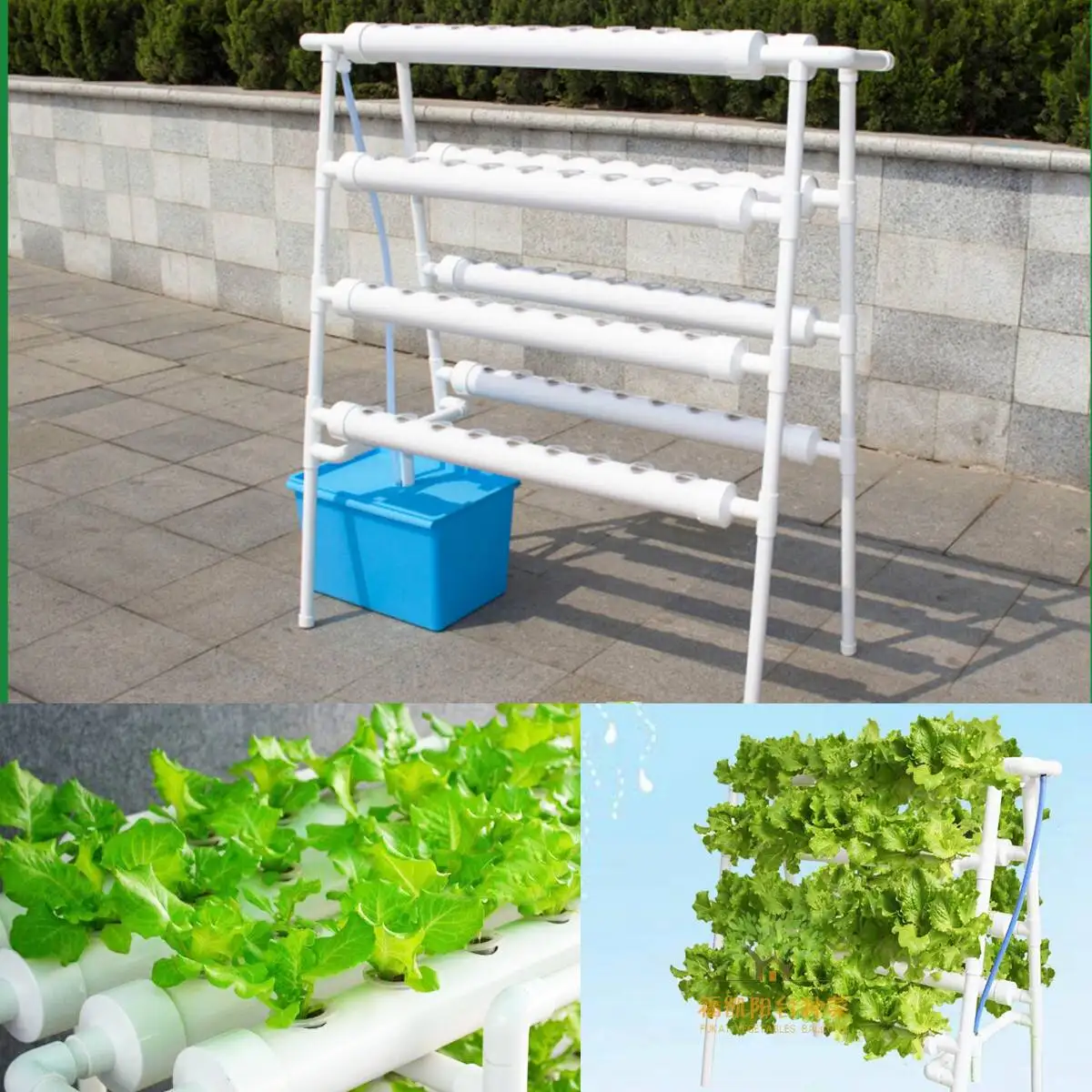 72 Holes Hydroponic System Indoor Garden Plant Grow Kit Nursery Pot Vegetable Water Planting Soilless Seedling Flower Stand 220V 72 Holes Hydroponic System Indoor Garden Plant Grow Kit Nursery Pot Vegetable Water Planting Soilless Seedling Flower Stand 220V