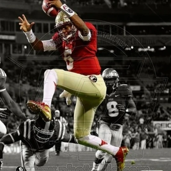 Jameis Winston Florida State University Seminoles 2013 Spotlight Action Sports Photo (8 x 10) | Дом и сад