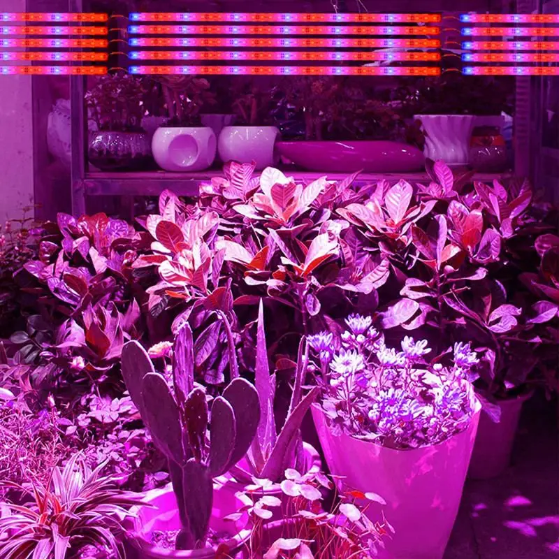 

10PCS DC12V 5630 Led Bar Rigid Strip Non/Waterproof LED Grow Plant Growing Light Red Blue 3:1 For Aquarium Greenhouse Hydroponic