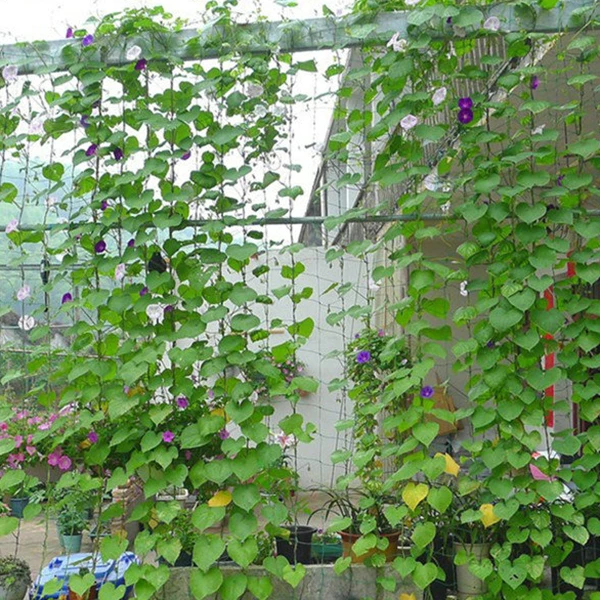 Садовые зеленые нейлоновые шпалеры поддержка для плетения альпинизма сетки для растений