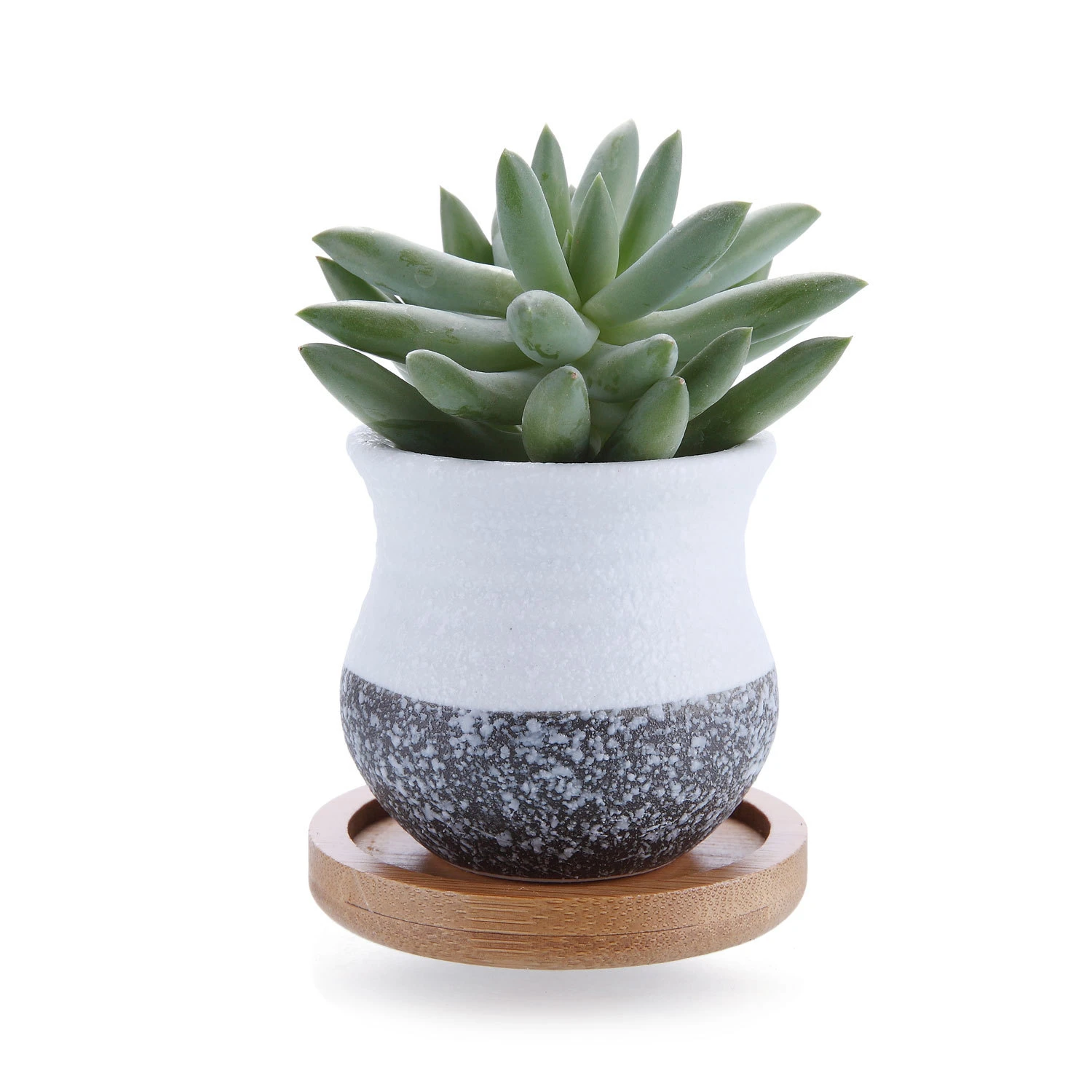 New Mini Small Ceramic Succulent Plant Pot Flower Planter Holder Cactus 2.25 In New Mini Small Ceramic Succulent Plant Pot Flower Planter Holder Cactus 2.25 In