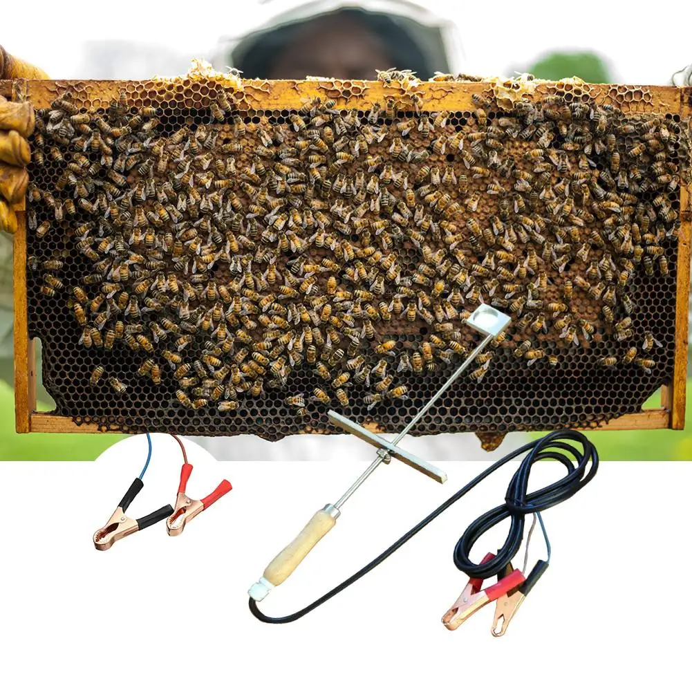 

12V Oxalic Acid Electric Bee Vaporizer Safe Medicine Evaporator Fumigation Treatment Varroa Beekeeping Tool Sterilization Mite