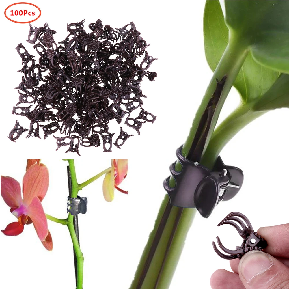 

100Pcs Plant Support Vine Hanging Stalks Fix Orchid Garden Flower Clips Grafting Tool Plastic Stems Grow Upright Decoration