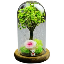 Романтическая Экология сохранение цветов Подарочная коробка вечный цветок стеклянная крышка подарочная коробка цветок розы креативное украшение украшения