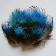 Atacado 200 pcs qualidade natural penas de Pavão azul 3-6 cm para artesanato diy jóias acessórios decorações plumas