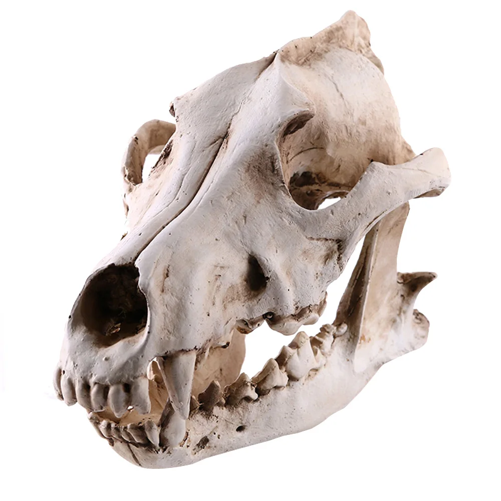 1 шт. смоляная модель животного черепа для аквариума украшения орнамент подводный декор для домашних животных аксессуары для аквариума